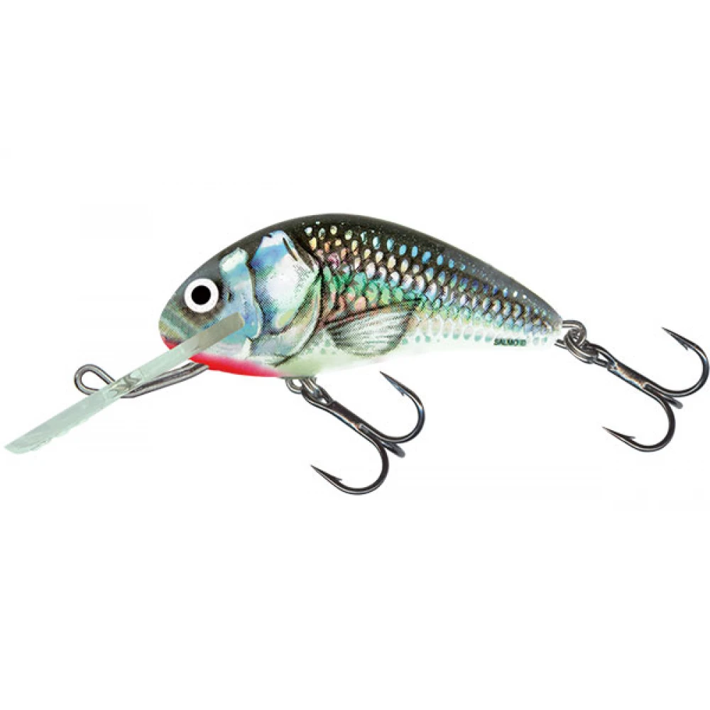 Salmo Hornet - Sinking - 4cm - Holographic Grey Shiner