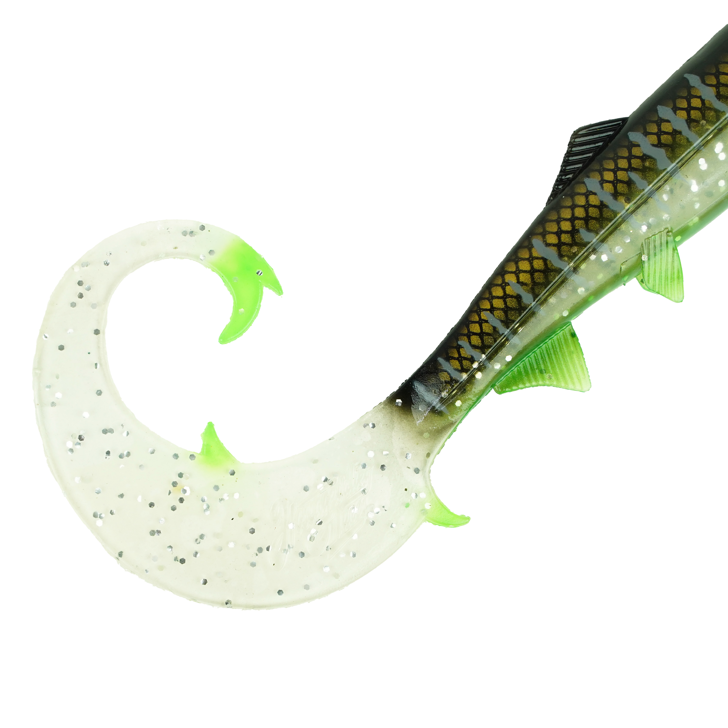 Hostagevalley Curlytail - Clear Malawi - 18cm