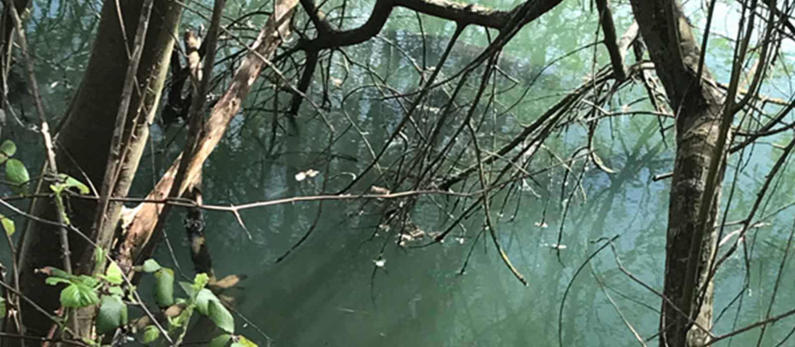 onderwater obstakel