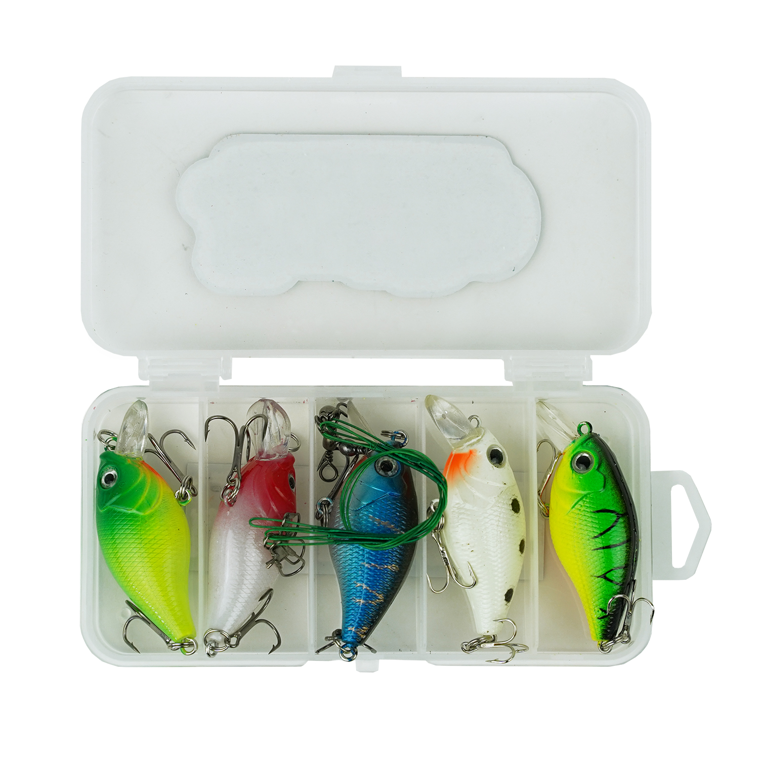 Fish-Xpro Fishinglure set - 5delig - Kunstaas set - Pluggen - Dreggen - incl. Stalen Onderlijnen - Tacklebox- Roofvissen - Snoek Baars