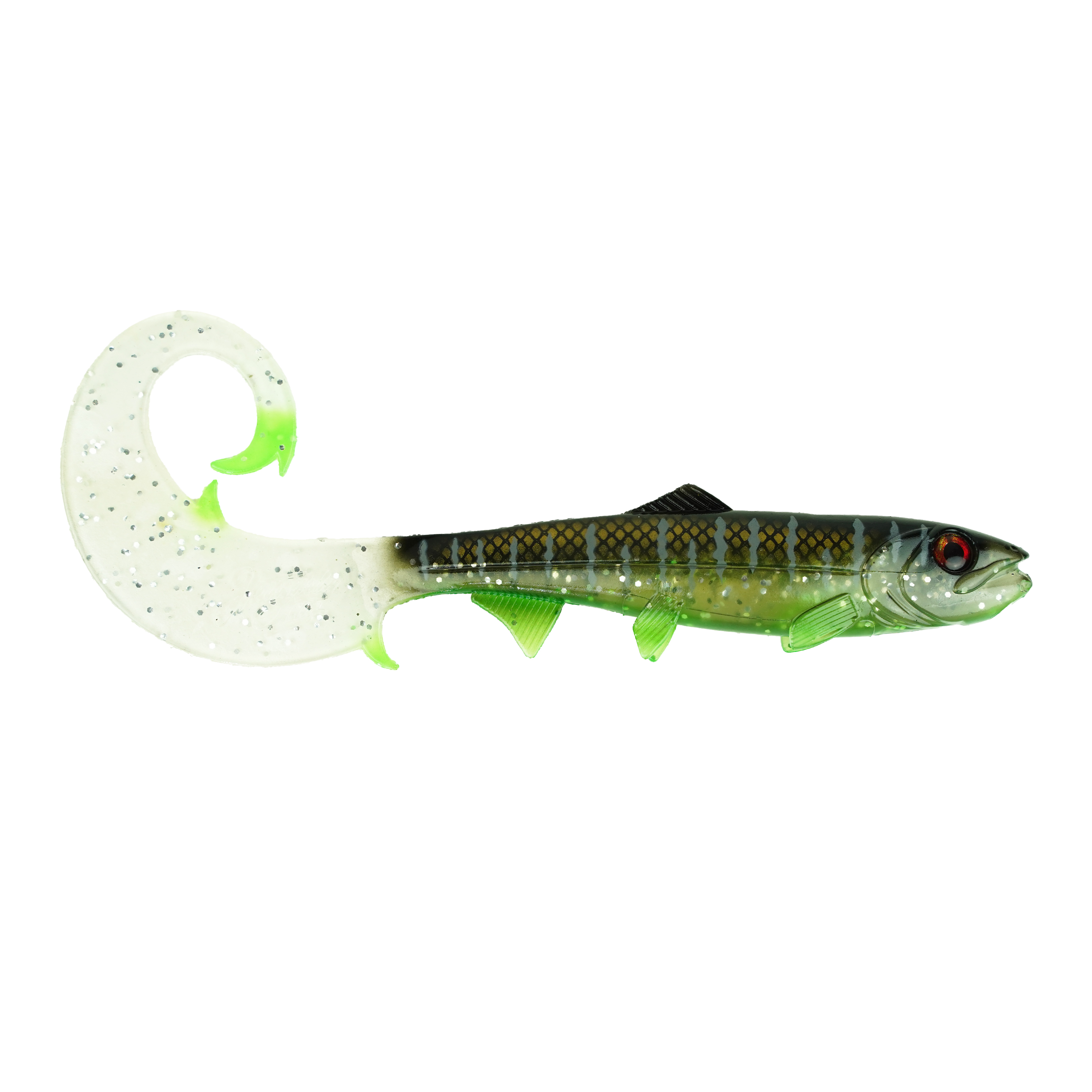Hostagevalley Curlytail - Clear Malawi - 18cm