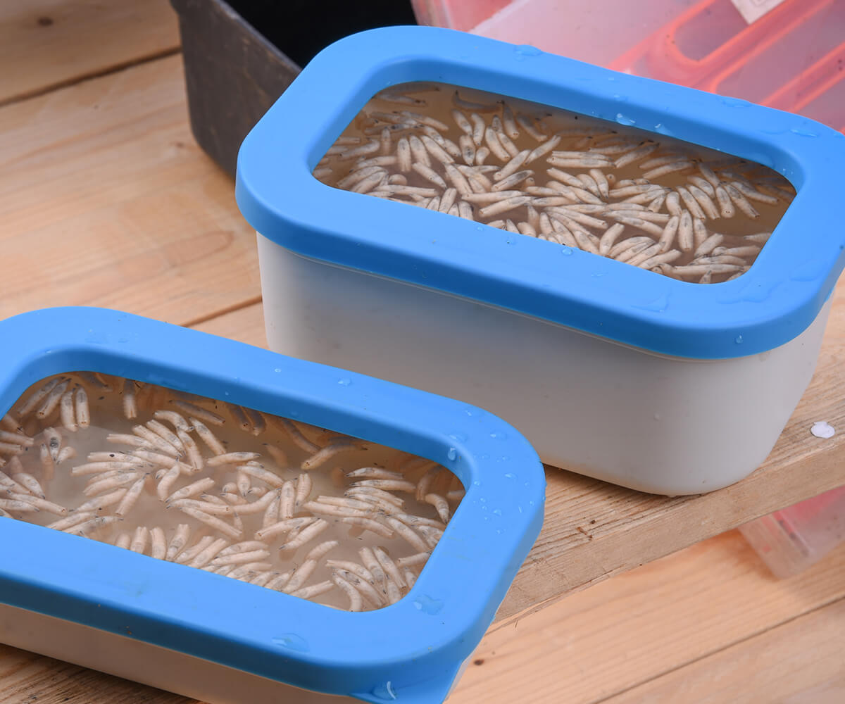 Cresta Baitbox White -  0,6 ltr - Open Lid