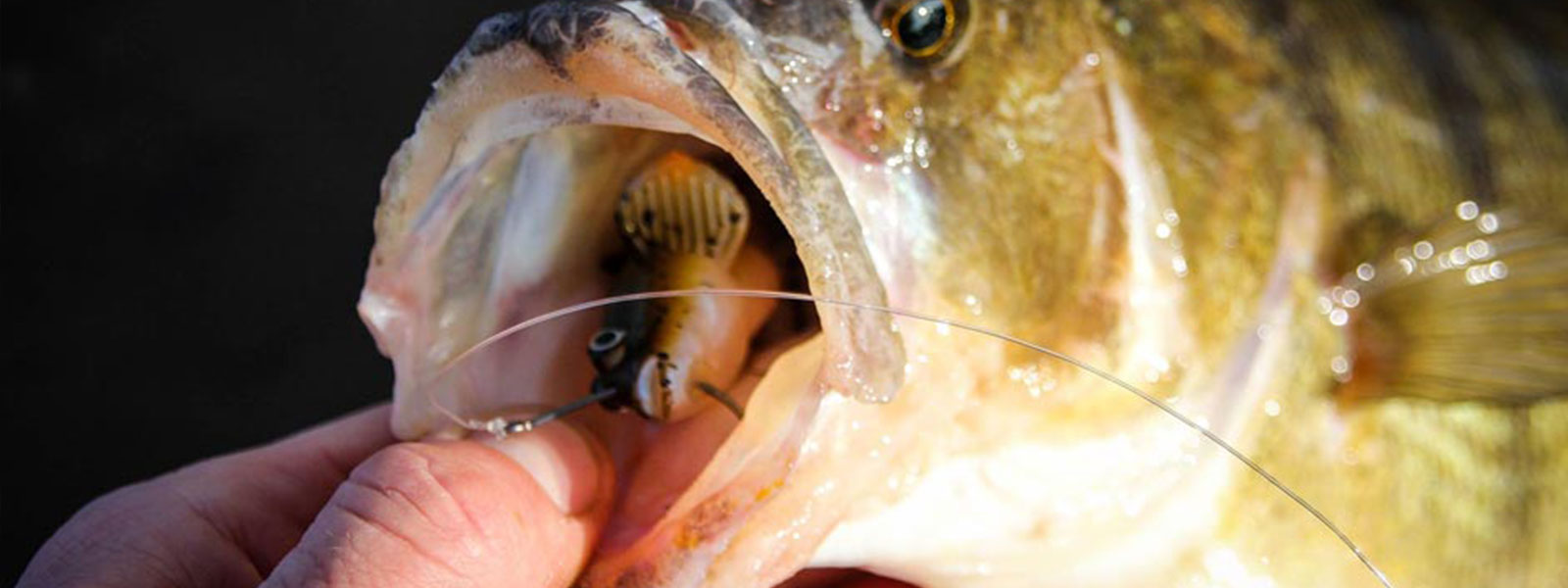 Streetfishing tips