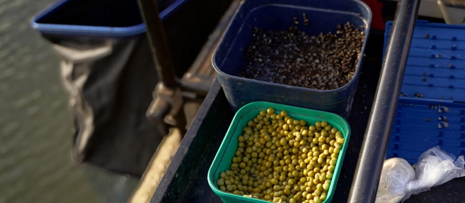 Bijvoeren met partikels, mais of erwten