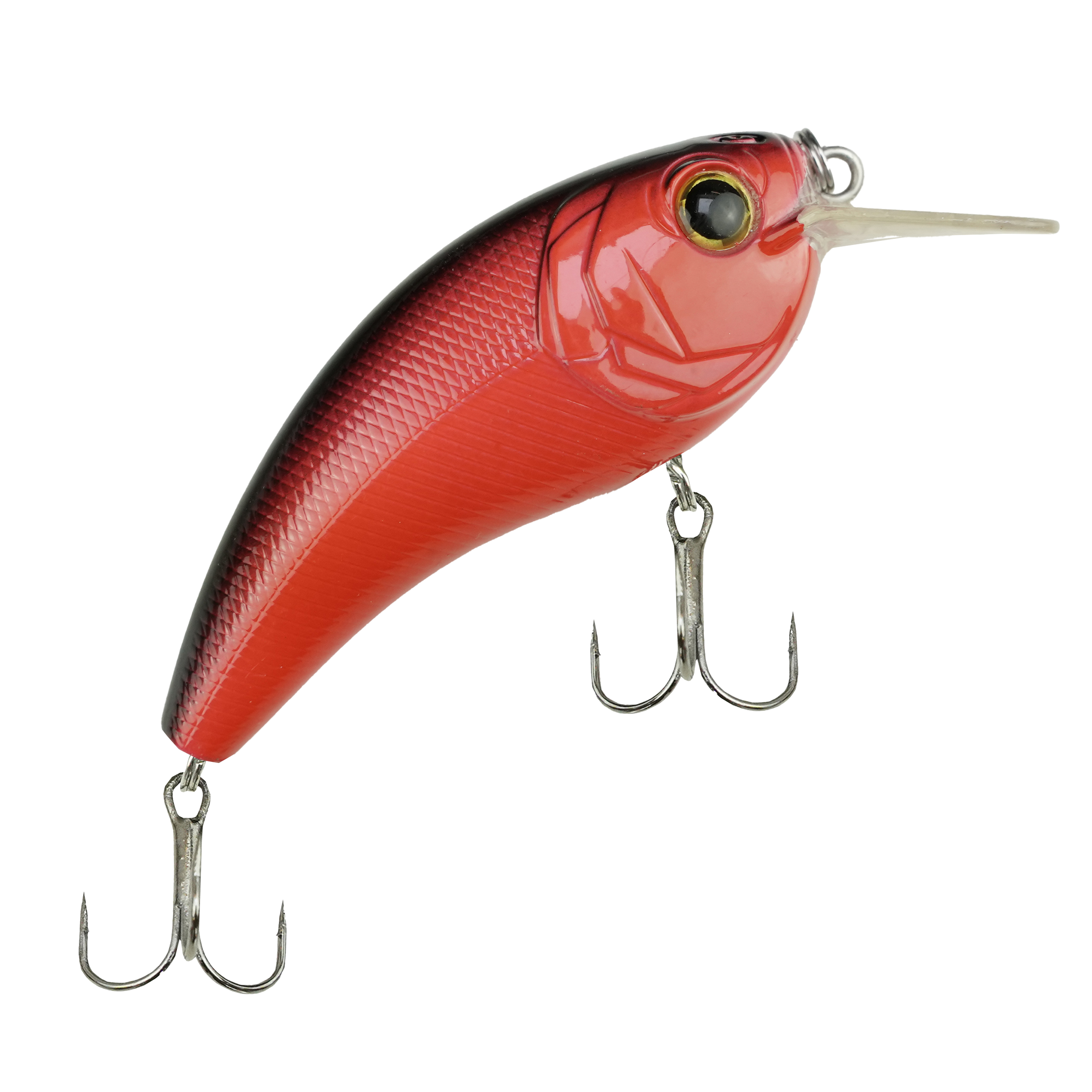 DLT Spinhengelset Pro – Complete Roofvisset met Hengel, Molen, Lijn, Pluggen & Softbaits