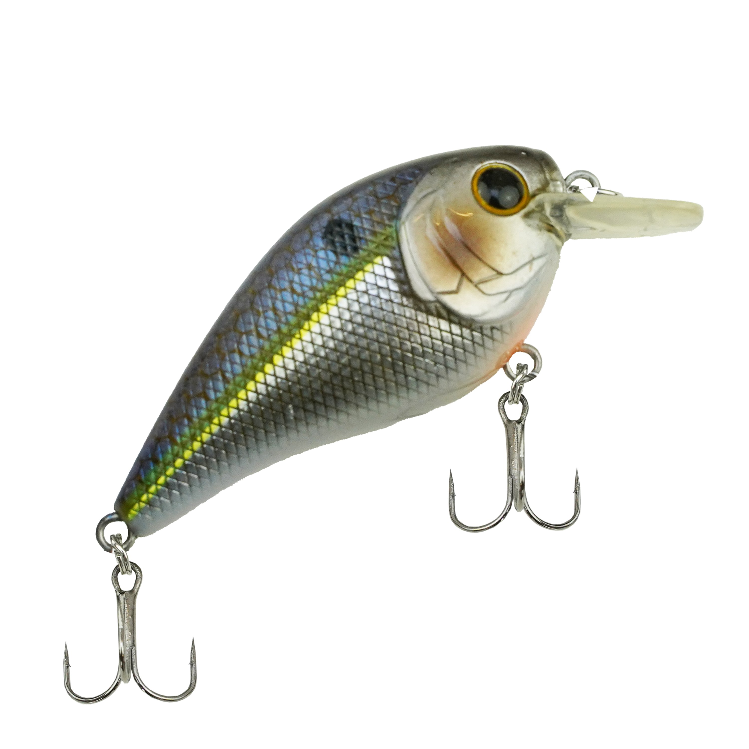 DLT Spinhengelset Pro – Complete Roofvisset met Hengel, Molen, Lijn, Pluggen & Softbaits