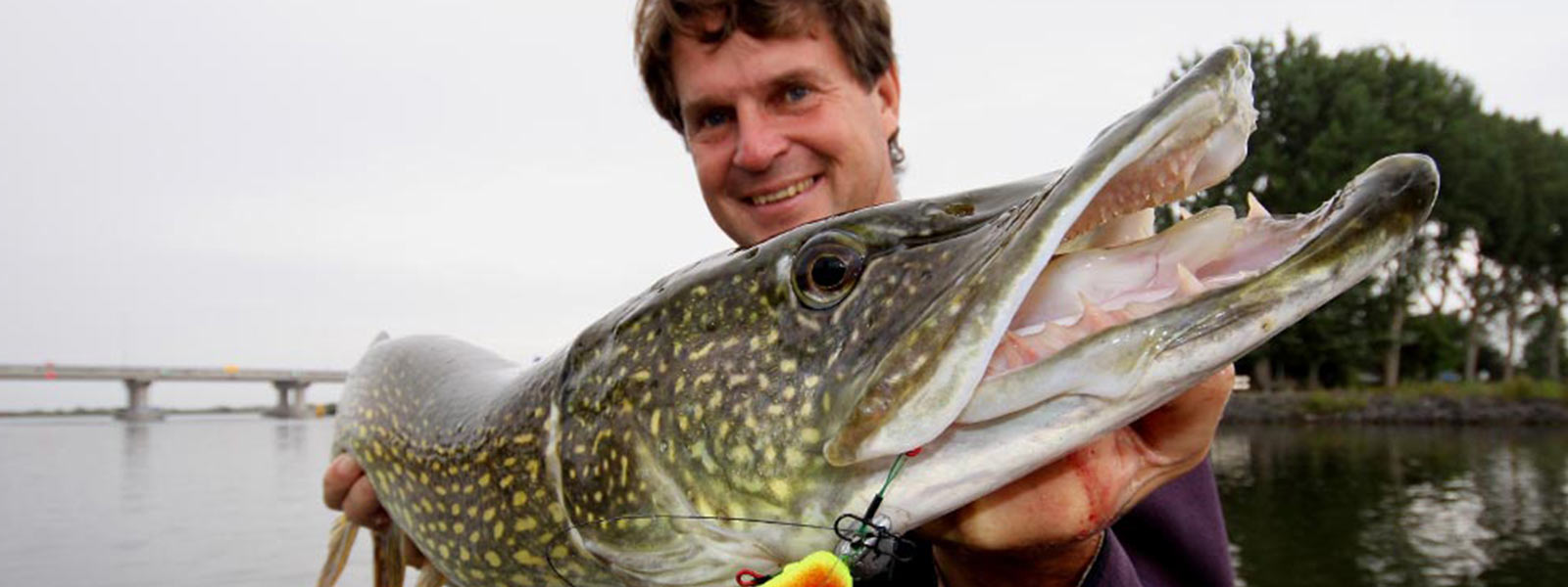 veluwemeer_shads_raven