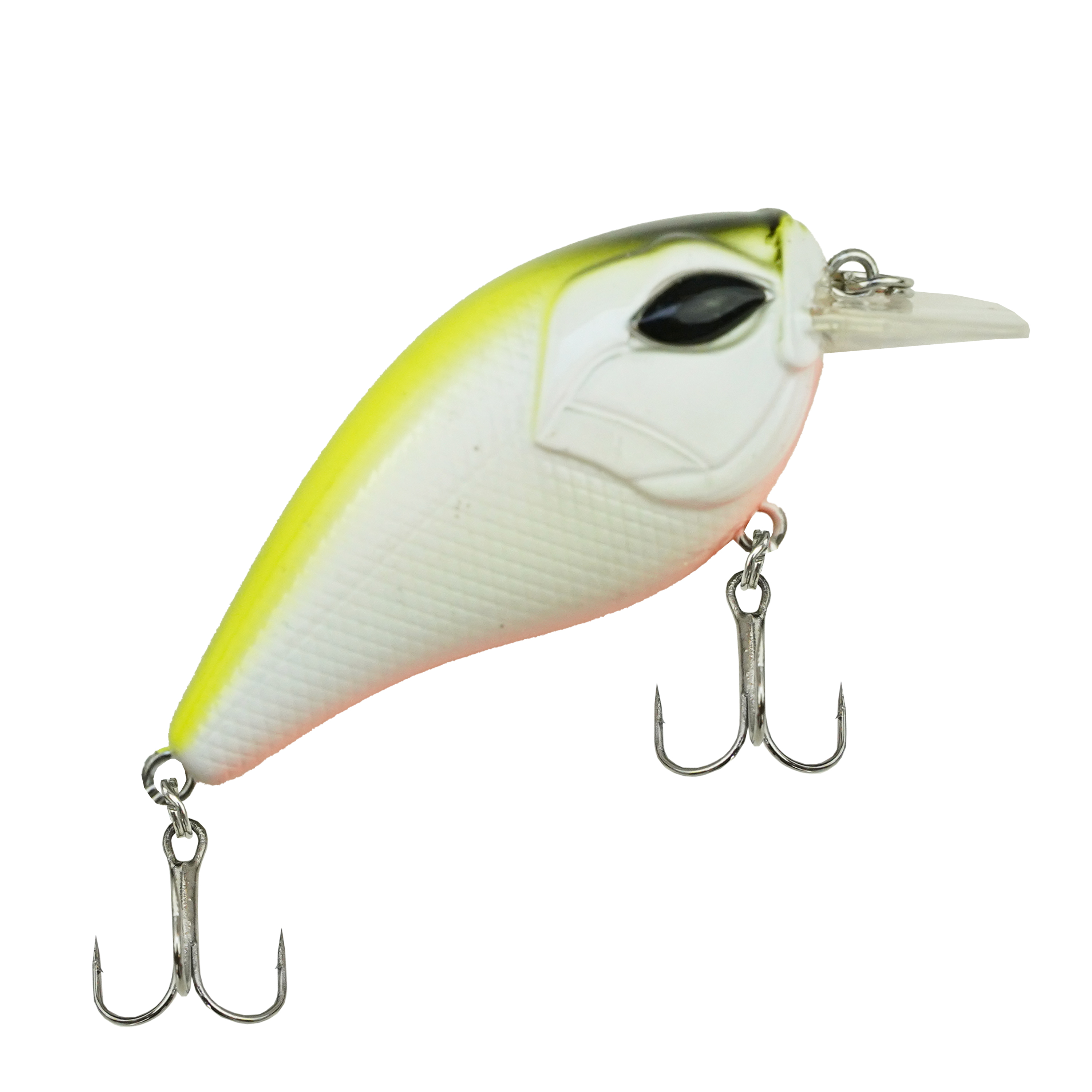 DLT Spinhengelset Pro – Complete Roofvisset met Hengel, Molen, Lijn, Pluggen & Softbaits